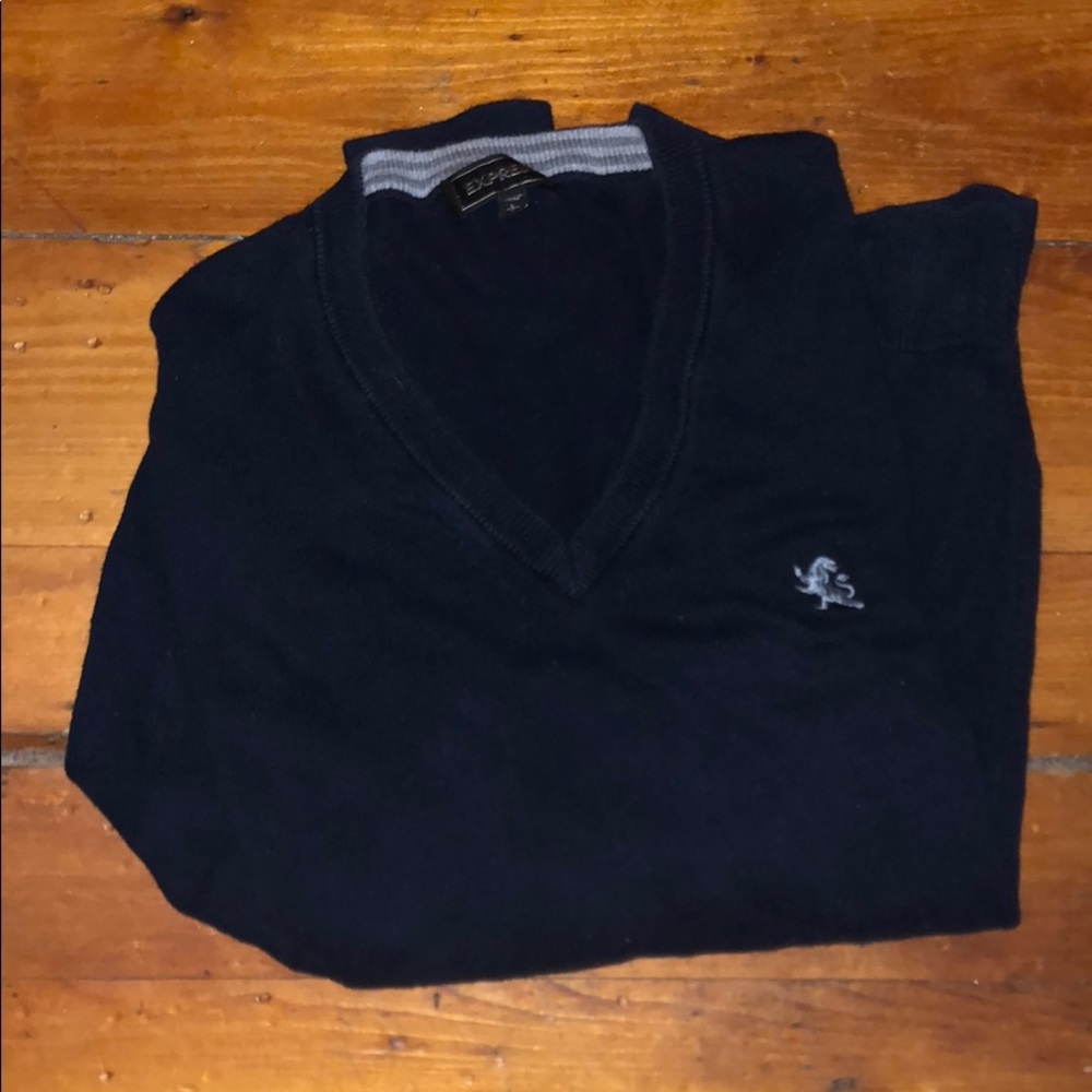 Navy Blue express v-neck sweater